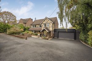 Photo 22- click for photo gallery